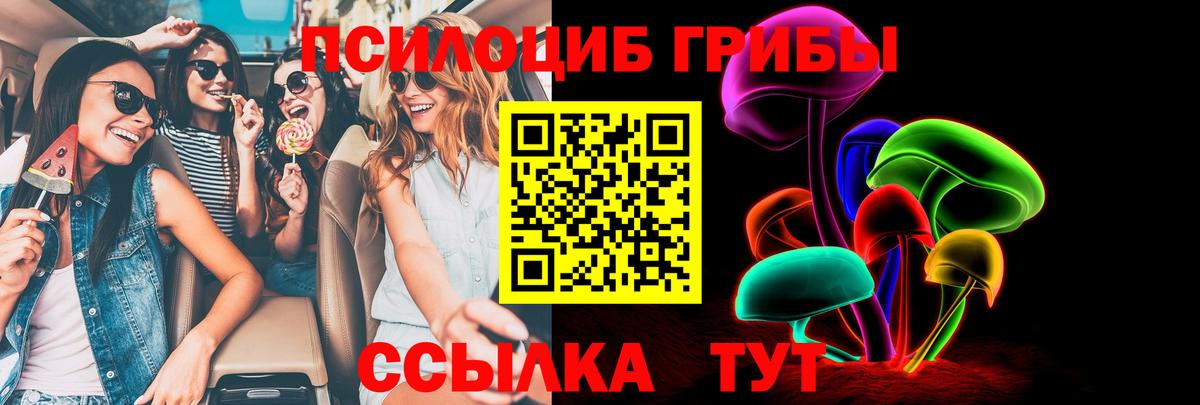Зима  даркнет сайт  Вход с VPN  Галлюциногенные грибы мицелий 