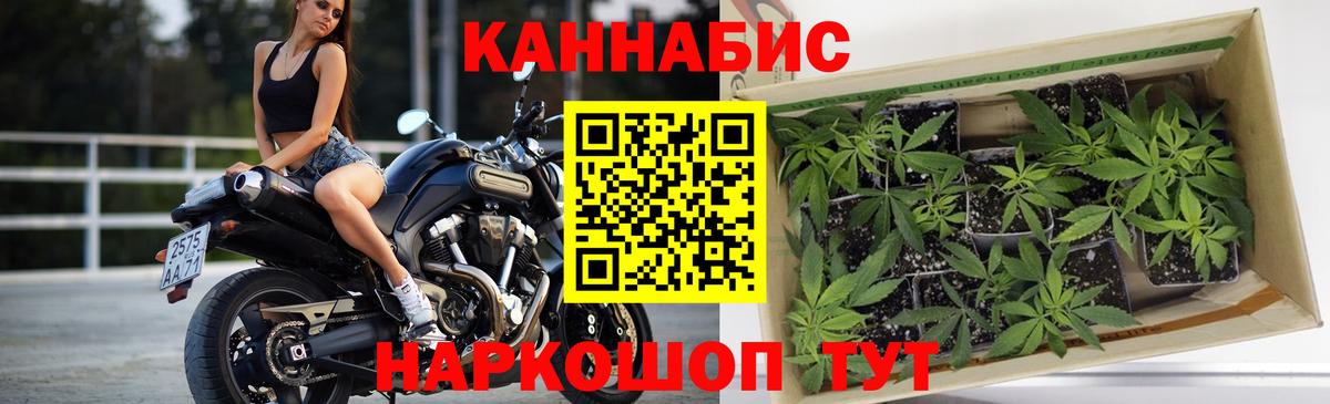 Шишки марихуана AK-47  Вход с VPN  Зима  Каннабис марихуана 